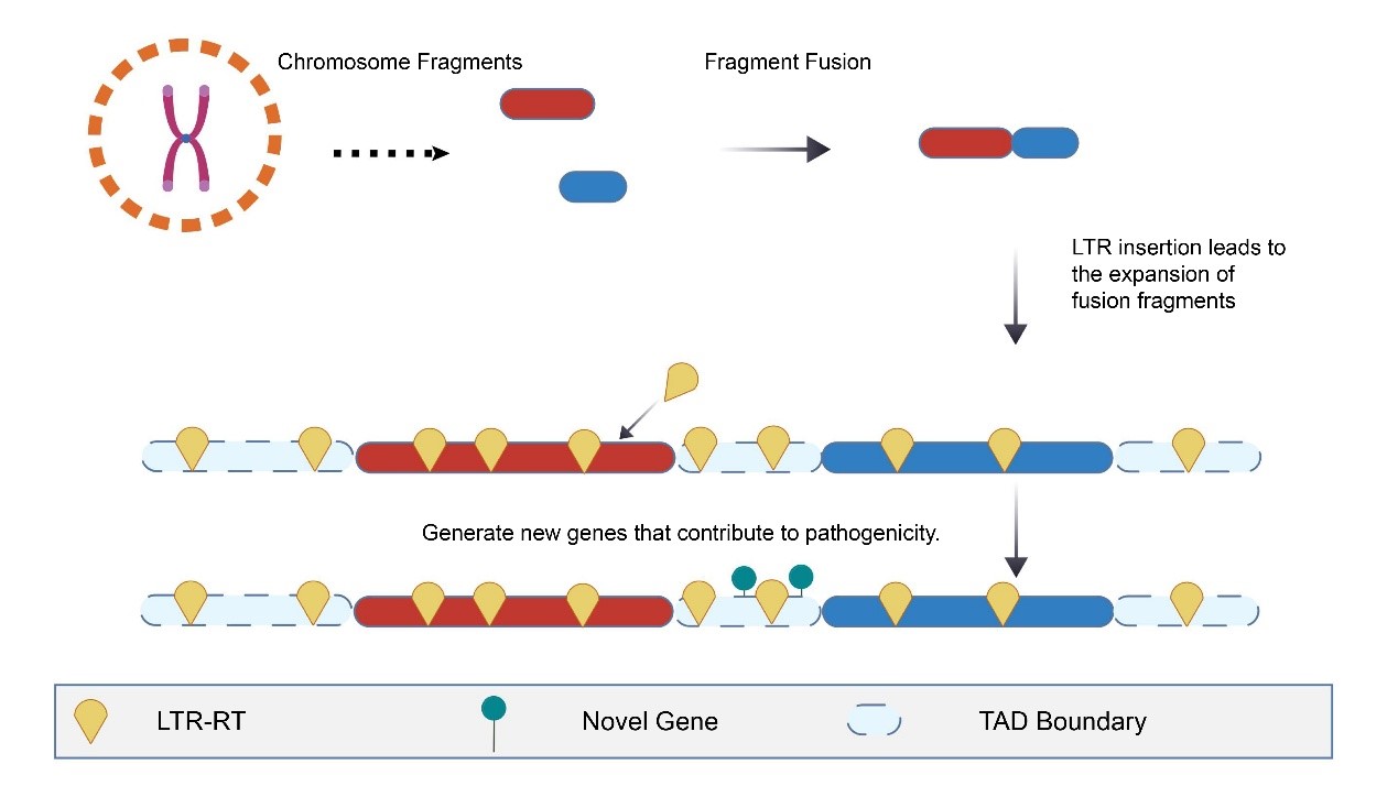 澳门新葡京网址
