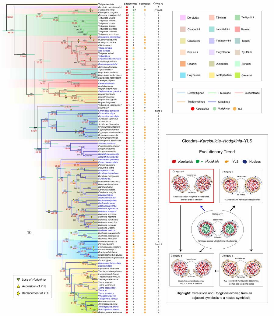 澳门新葡京网址