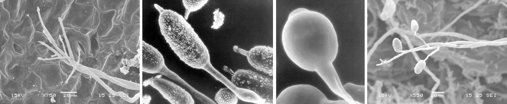 澳门新葡京网址