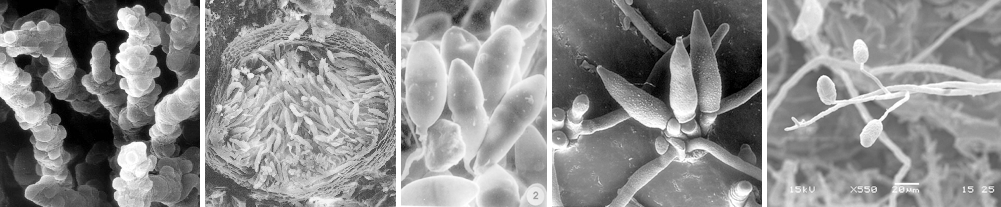 澳门新葡京网址