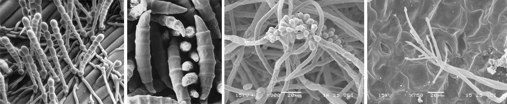澳门新葡京网址