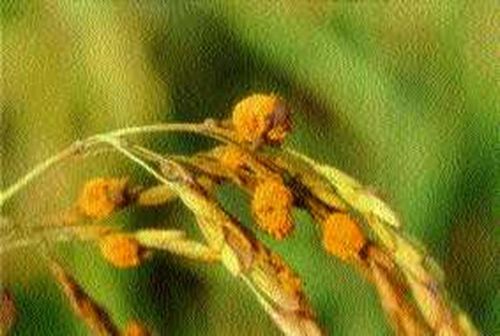 澳门新葡京网址