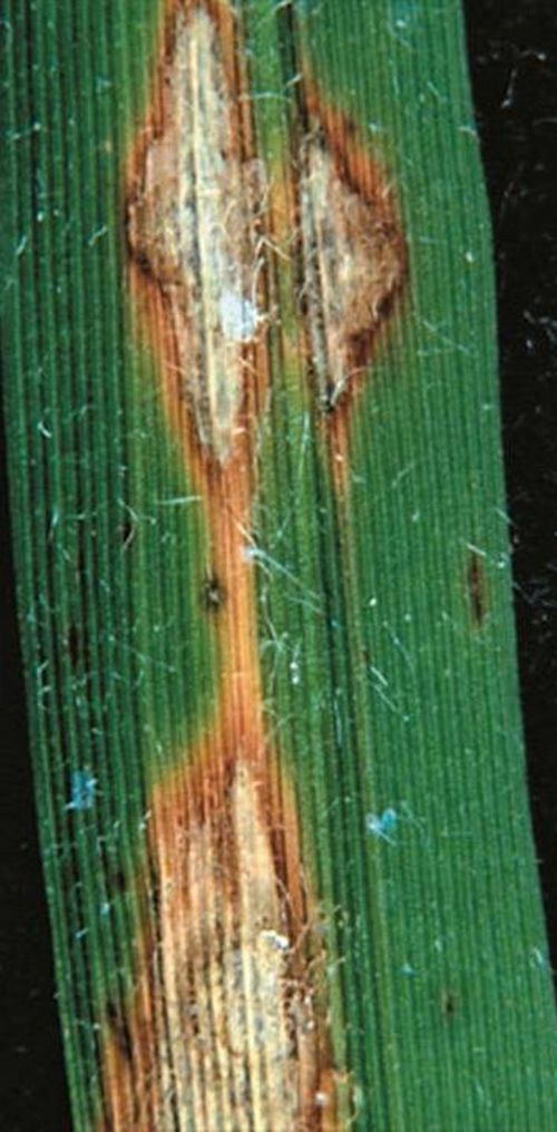 澳门新葡京网址