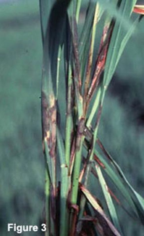 澳门新葡京网址