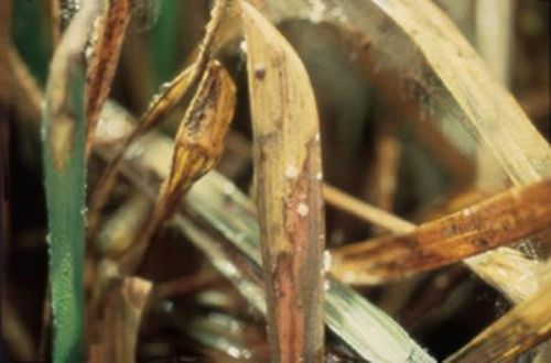 澳门新葡京网址