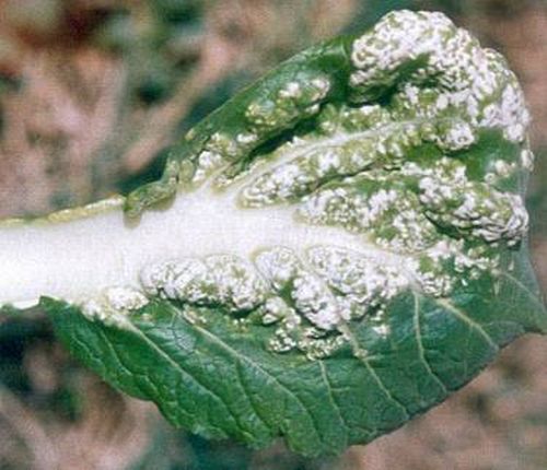 澳门新葡京网址