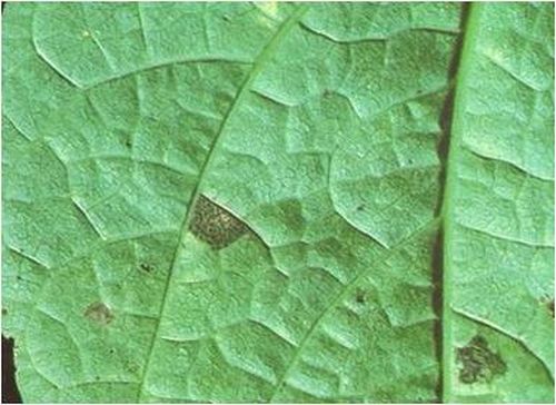 澳门新葡京网址