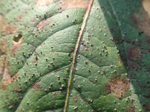 澳门新葡京网址