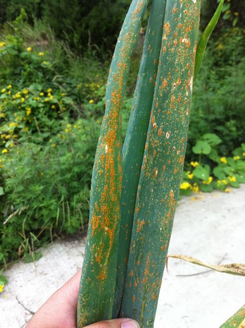 澳门新葡京网址