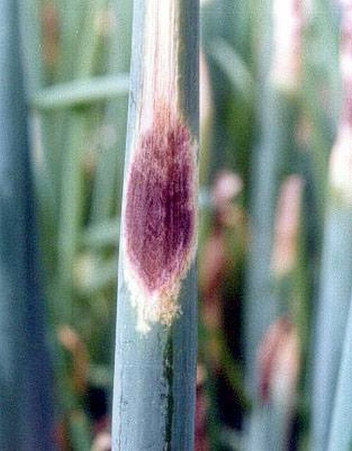 澳门新葡京网址