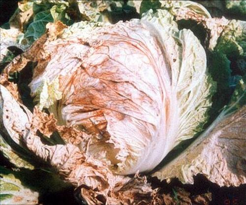 澳门新葡京网址