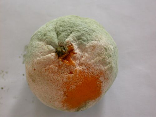 澳门新葡京网址