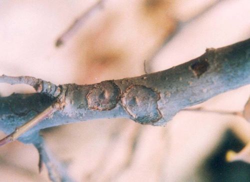 澳门新葡京网址