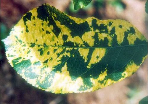 澳门新葡京网址