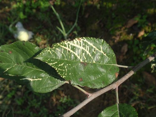 澳门新葡京网址