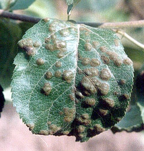 澳门新葡京网址