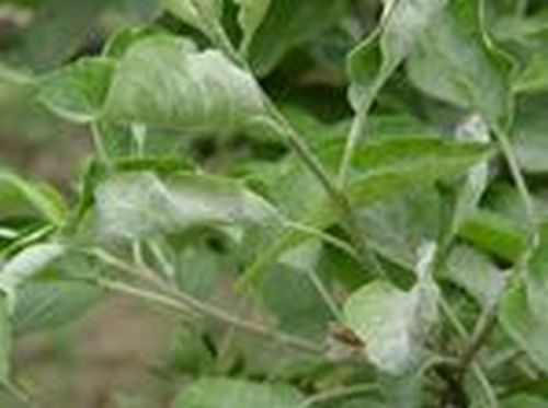 澳门新葡京网址