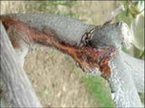 澳门新葡京网址