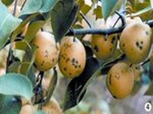 澳门新葡京网址