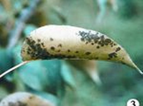 澳门新葡京网址