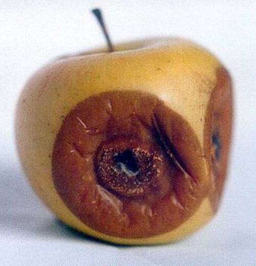 澳门新葡京网址