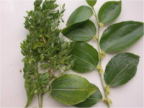 澳门新葡京网址