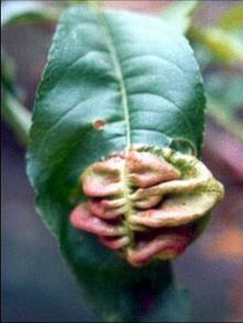 澳门新葡京网址