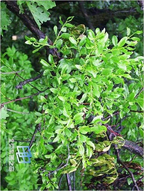 澳门新葡京网址