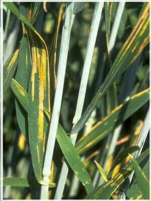 澳门新葡京网址