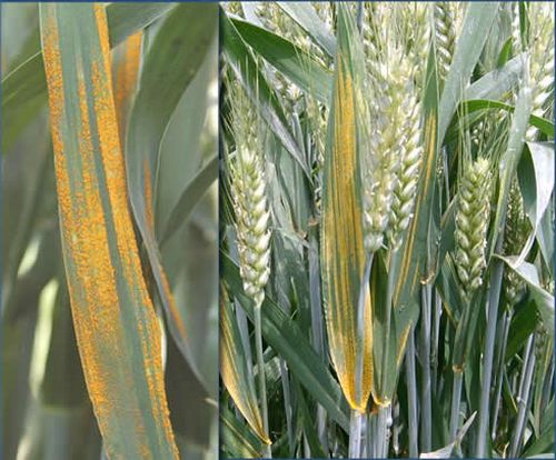 澳门新葡京网址