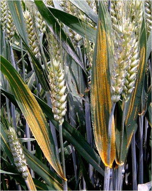 澳门新葡京网址