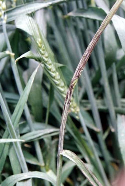 澳门新葡京网址