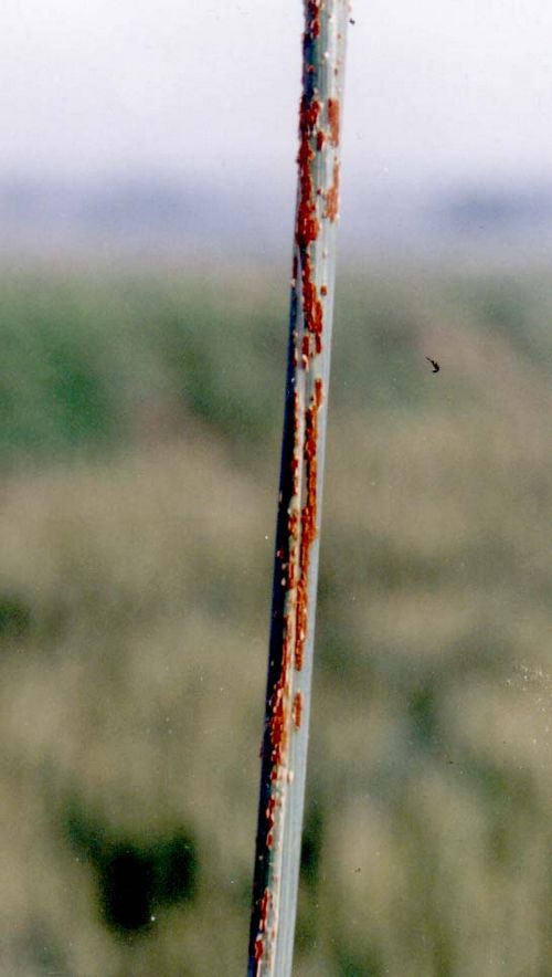 澳门新葡京网址