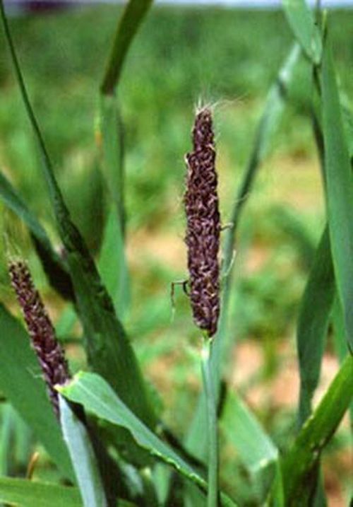 澳门新葡京网址