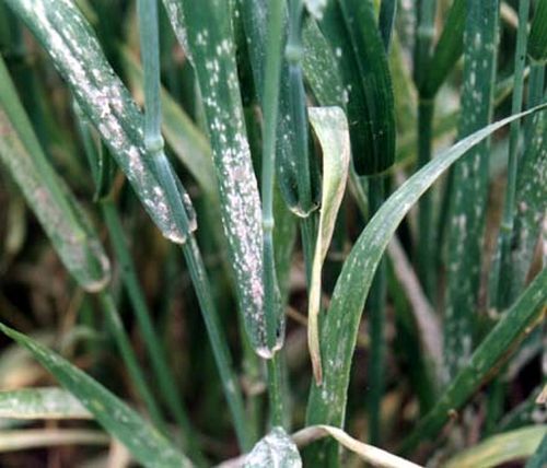 澳门新葡京网址