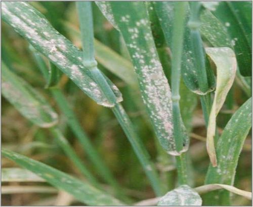 澳门新葡京网址