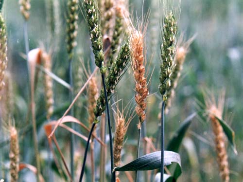 澳门新葡京网址