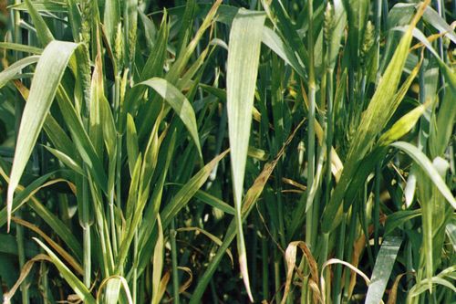 澳门新葡京网址