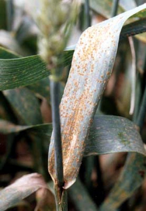 澳门新葡京网址