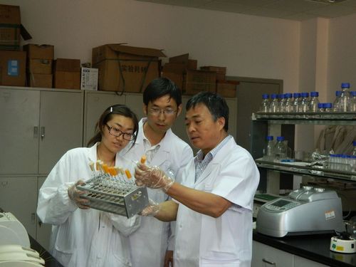 澳门新葡京网址