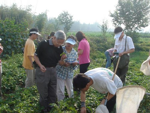 澳门新葡京网址