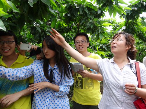 澳门新葡京网址