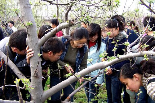 澳门新葡京网址