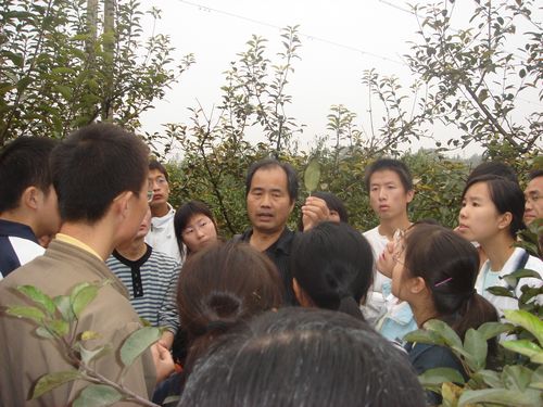 澳门新葡京网址