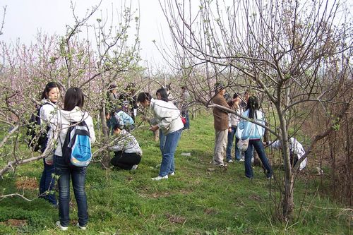 澳门新葡京网址