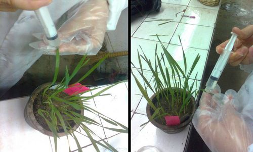 澳门新葡京网址