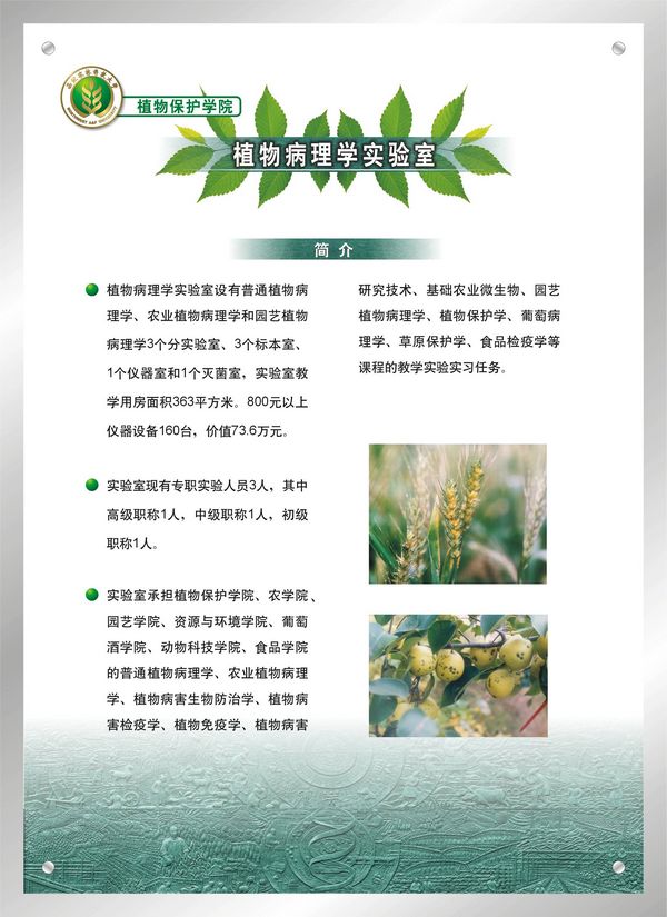 澳门新葡京网址