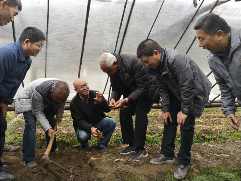 4d010ee9377a47f4b78aafc21b68fe7e.jpg 图片1(1).jpg