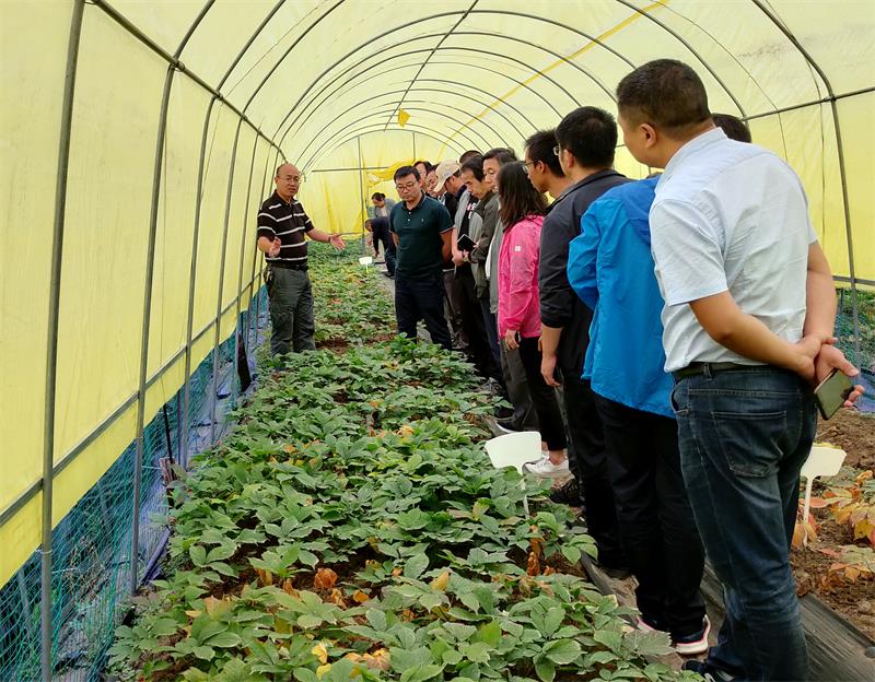 dd2e5bf2eb4c4b95a33b8ad4894ef6ee.jpg 闸口石西洋参基地考察-20200830-修改后.jpg