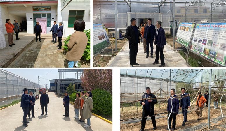 6dcdab2c5768428abee8119704f5eb95.jpg 走访宿舍 参观葡萄大棚450.jpg